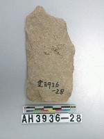 藏品(小型打製石斧)的圖片